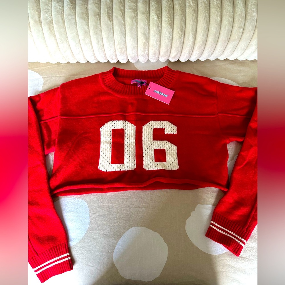 EDIKTED CROPPED SWEATER